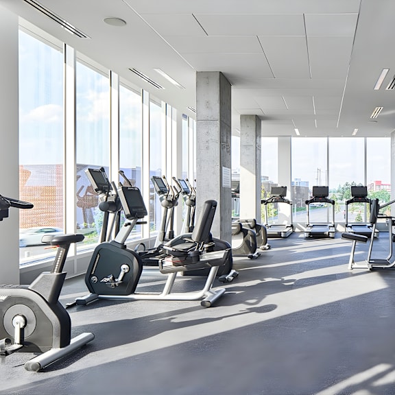 a gym with treadmills, elliptical machines, and weights.