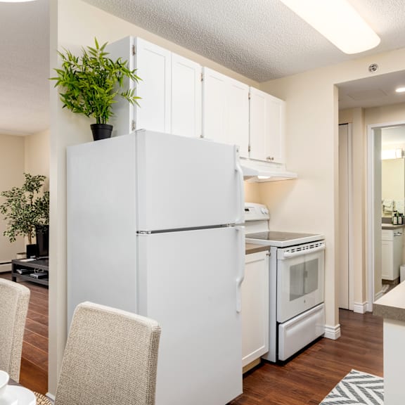 a white refrigerator with a plant on top sits in a kitchen.