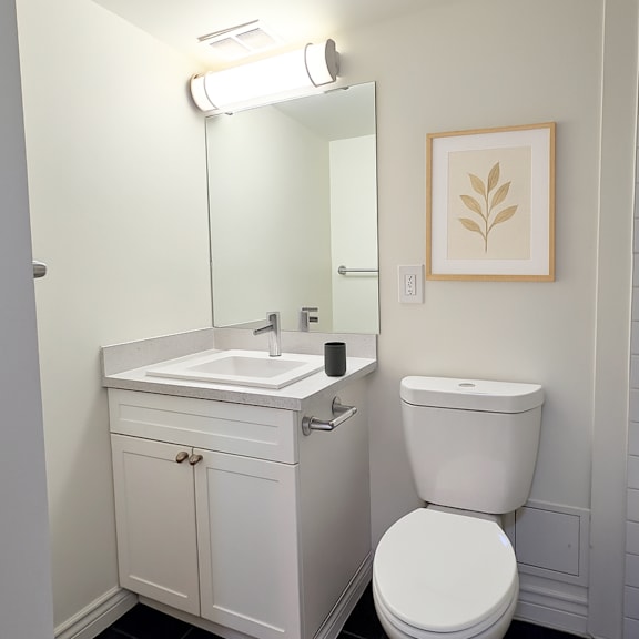 a white toilet sits next to a sink in a bathroom.