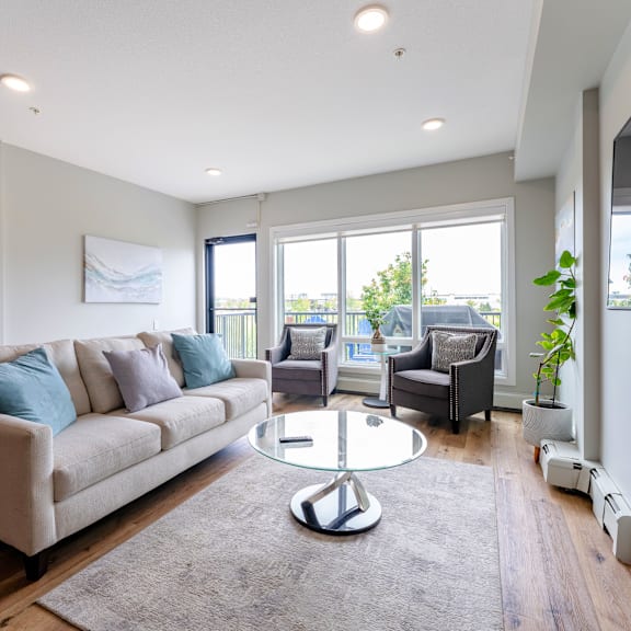 a living room with a grey sofa and a glass table.