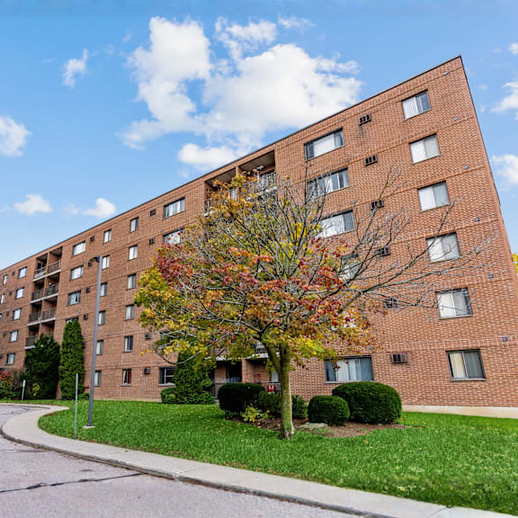 a tall brick apartment building with a tree in front of it.