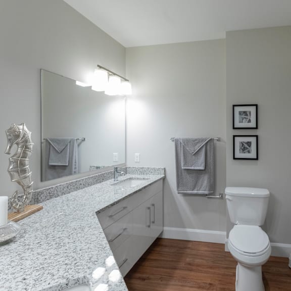 a bathroom with a toilet, sink, and mirror.