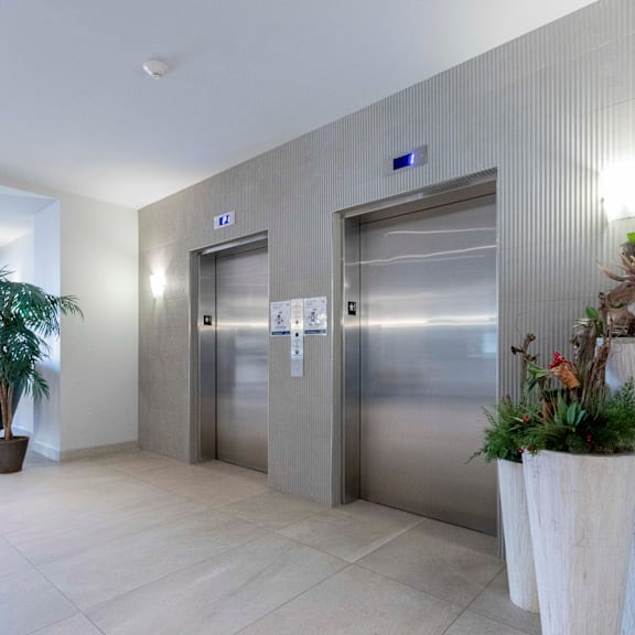 two elevators in a hallway with a plant on the left and a plant on the right.