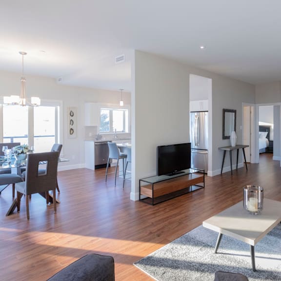 a modern living room with a fireplace and a dining area.