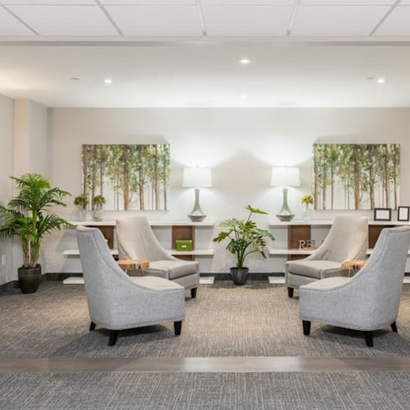 a waiting room with grey chairs and plants.