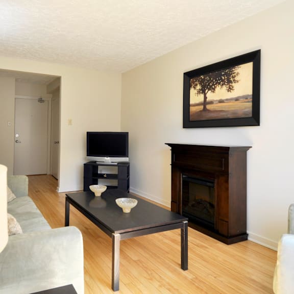 lakefront apartments living room fire place