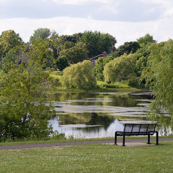 a bench sits on a grassy area next to a lake.