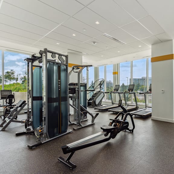 a gym with a variety of equipment including treadmills, weight machines, and benches.