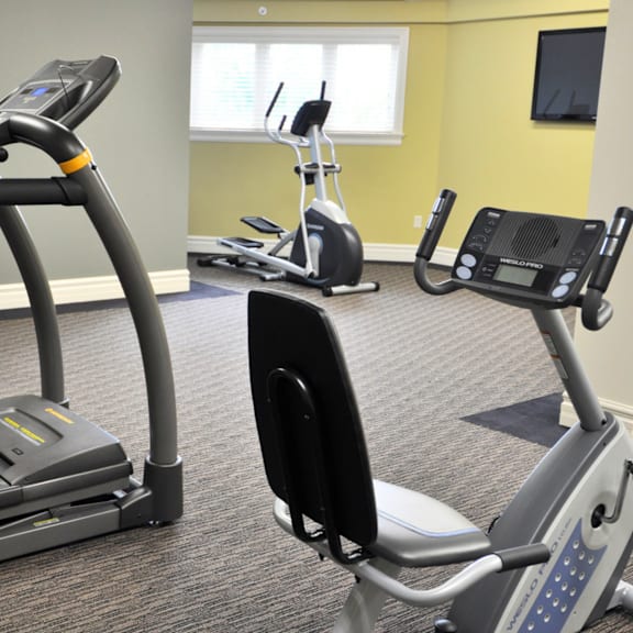 a gym with treadmills, elliptical machines, and exercise bikes.