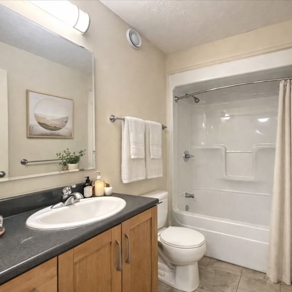 a bathroom with a sink, toilet, and bathtub.