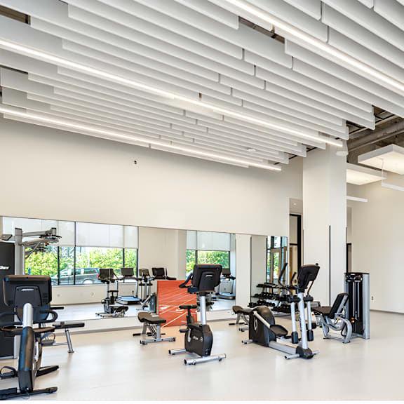 luma gym