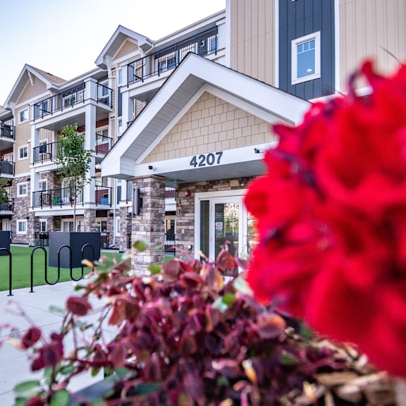 apartment building 4207 with red flowers in the foreground.