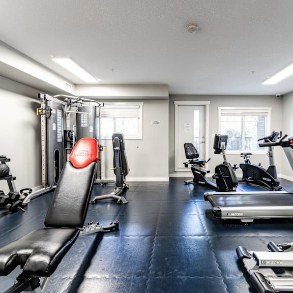 a gym with a variety of equipment including treadmills, weights, and exercise machines.