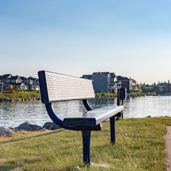 a bench is situated in front of a body of water with houses in the background.