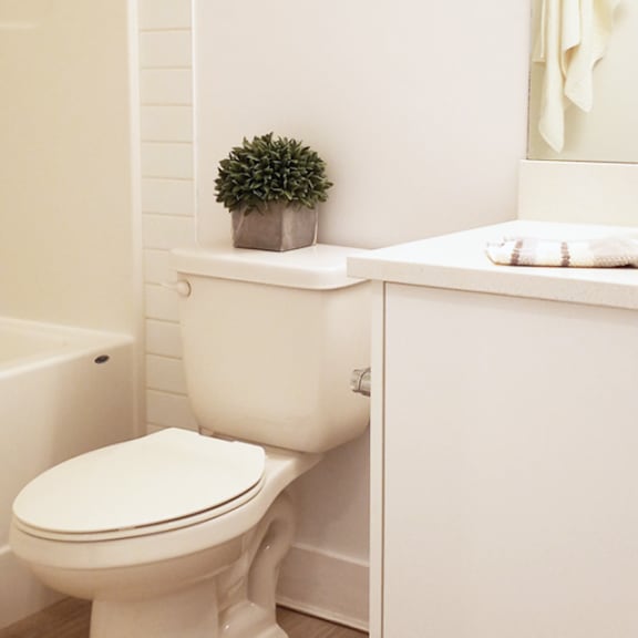 a white toilet sits next to a white bathtub in a bathroom.