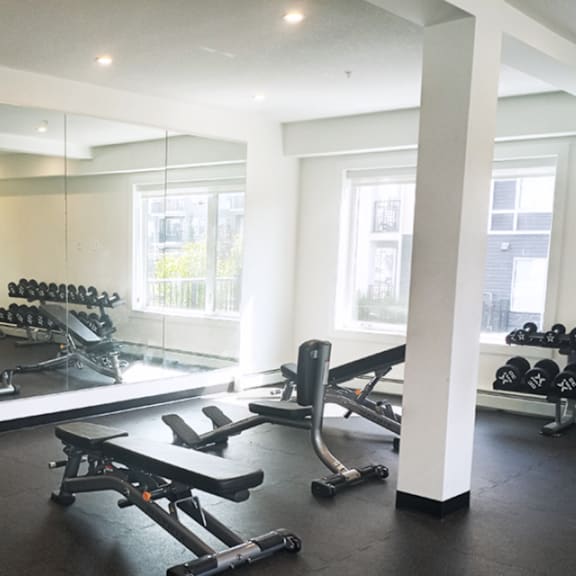 a gym with a mirror, weights, and exercise equipment.