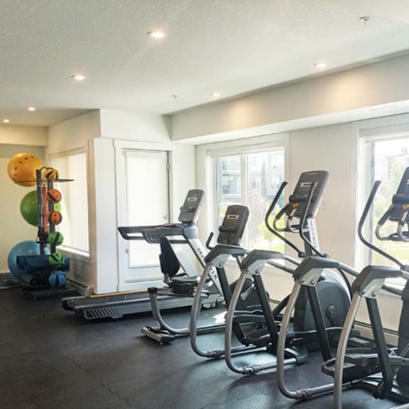 a gym with treadmills and exercise balls.