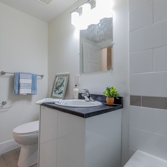 a bathroom with a toilet, sink, and mirror.
