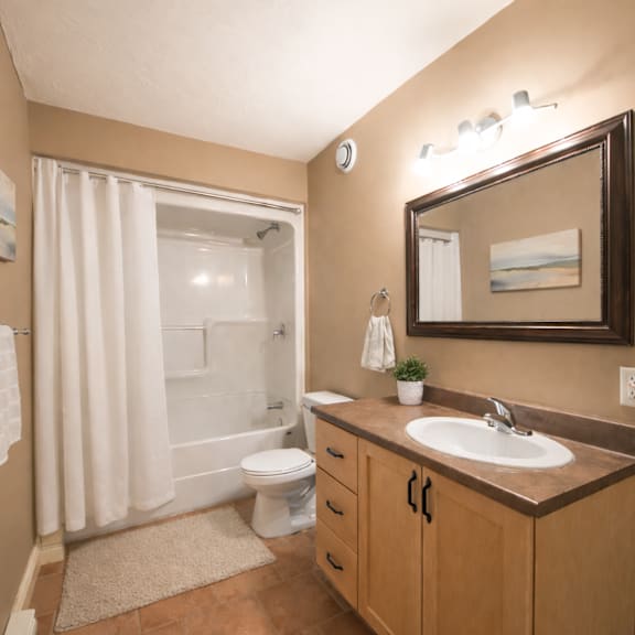 a bathroom with a toilet, sink, and shower.