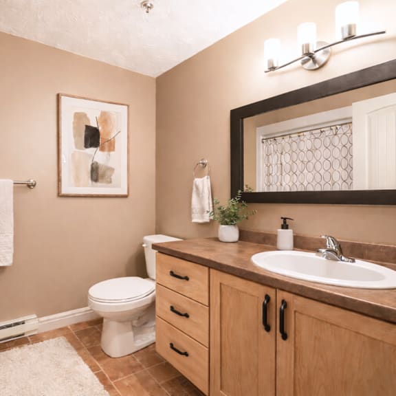 a bathroom with a toilet, sink, and a mirror.