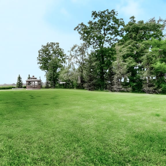 a large grassy field with trees and a wooden structure in the distance.