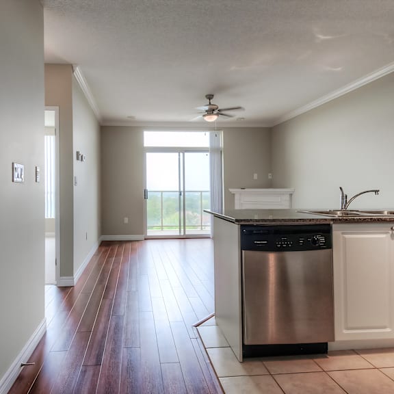 a kitchen with a stainless steel dishwasher and wooden floors.