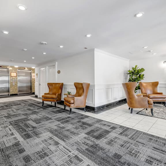 a grey carpeted lobby with a white wall and a plant in a pot.