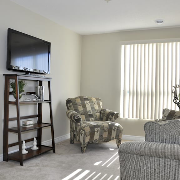 a living room with a television, two chairs, and a plant.