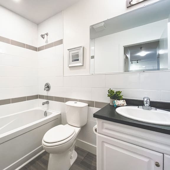 a white toilet sits next to a bathtub in a bathroom.