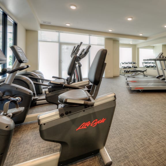 a gym with treadmills and elliptical machines.