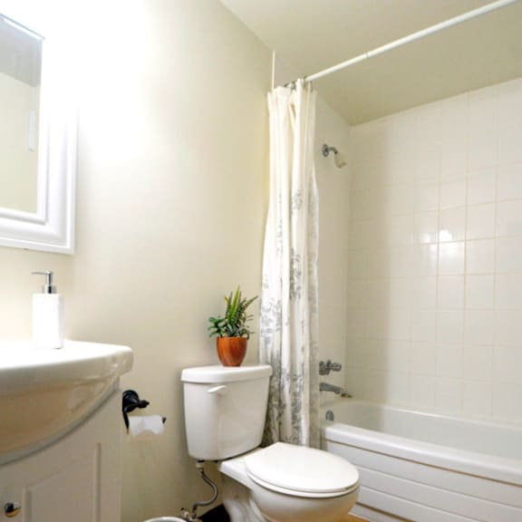 shaunslieve apartments bathroom