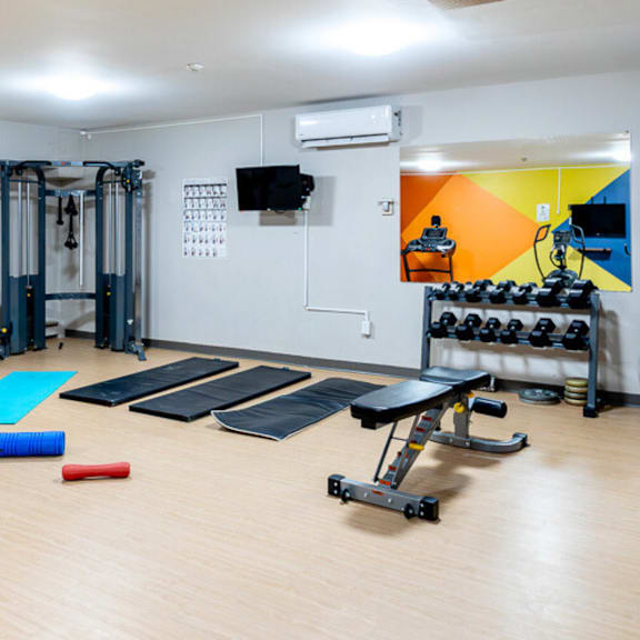 a gym with a variety of equipment including a bench press, a squat rack, and a rowing machine.
