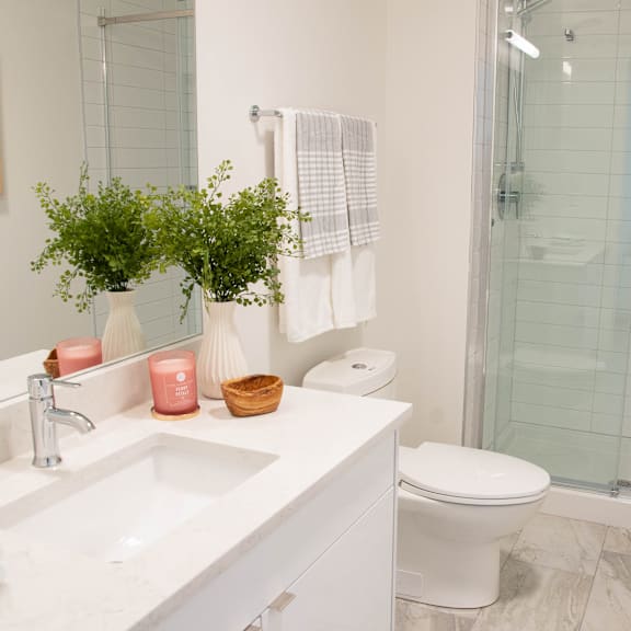 a white toilet sits next to a sink in a bathroom.