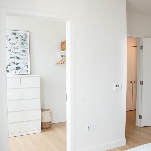 the alexander bedroom closet
