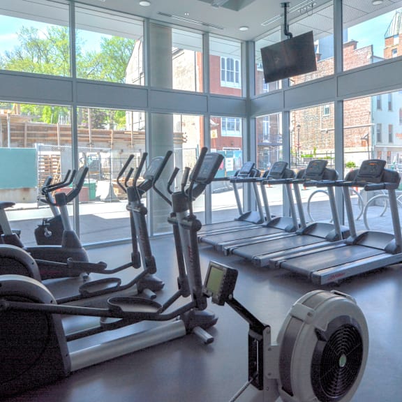 the alexander gym