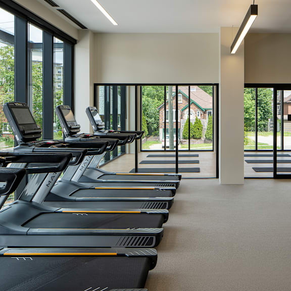 a row of treadmills are lined up in a spacious gym.