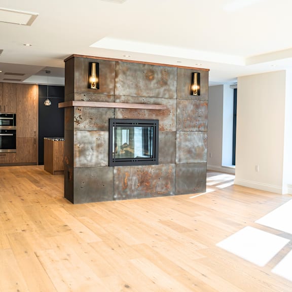 the governor fireplace