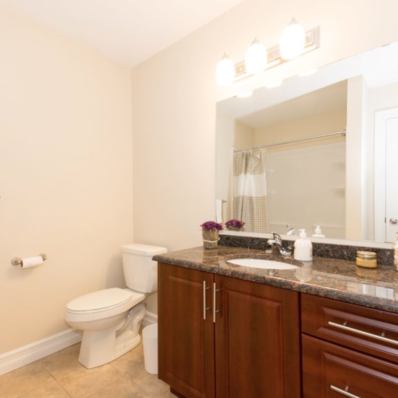 the linden bathroom