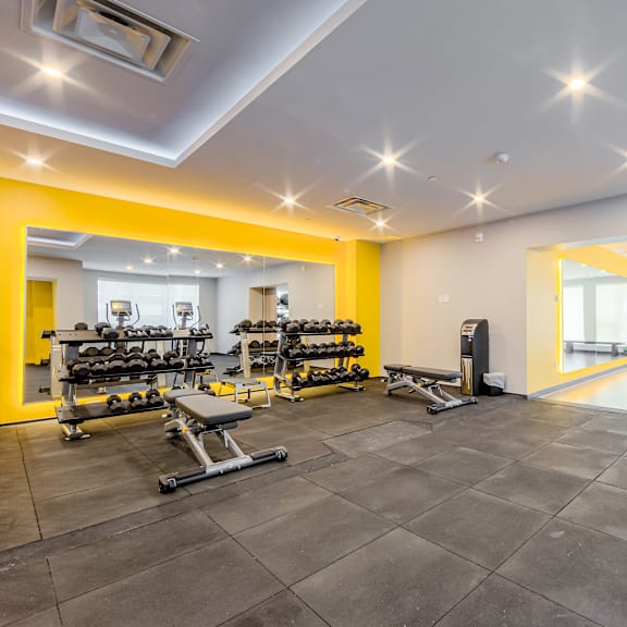 a gym with a variety of equipment including weights and benches.