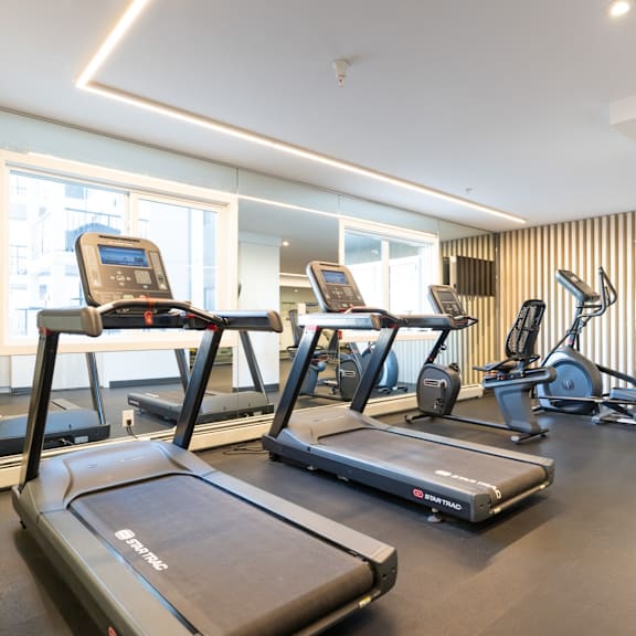 a gym with treadmills and elliptical machines.