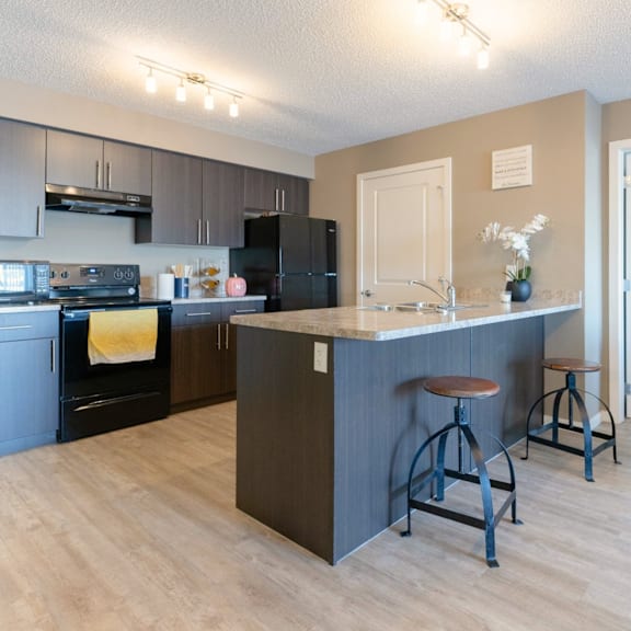 a kitchen with a black refrigerator and a black oven.