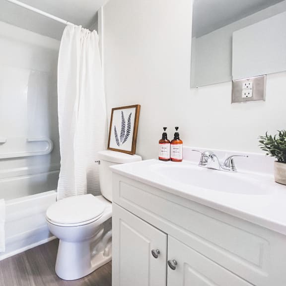 a white bathroom with a toilet, sink, and a plant.
