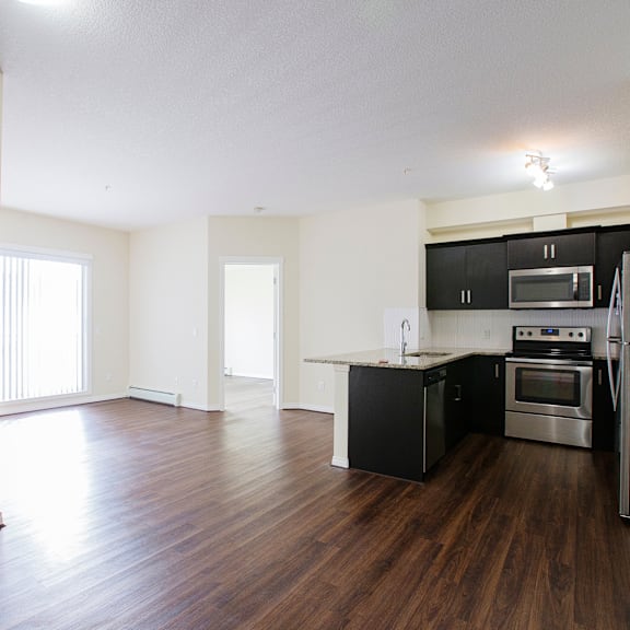 a kitchen with black cabinets and stainless steel appliances.
