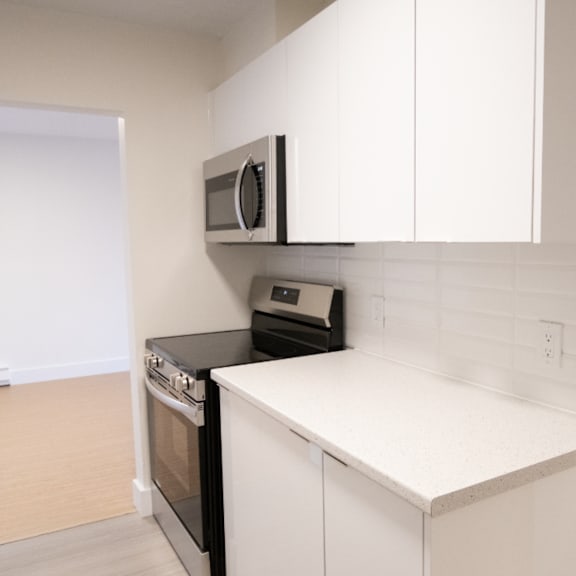 veronica drive stove