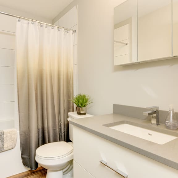 a white toilet sits next to a sink in a bathroom.