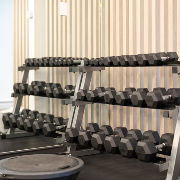 a set of dumbbells is arranged on a rack in a gym.