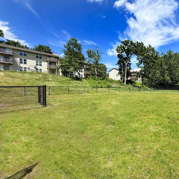 a grassy field with a fence and trees in the background.