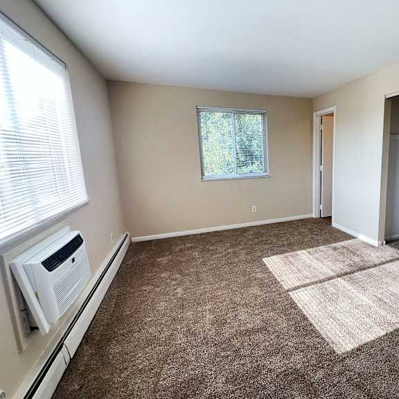 a room with a carpet, a window, and a door.