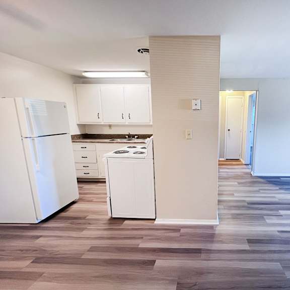 a kitchen with a white fridge and a white dishwasher.