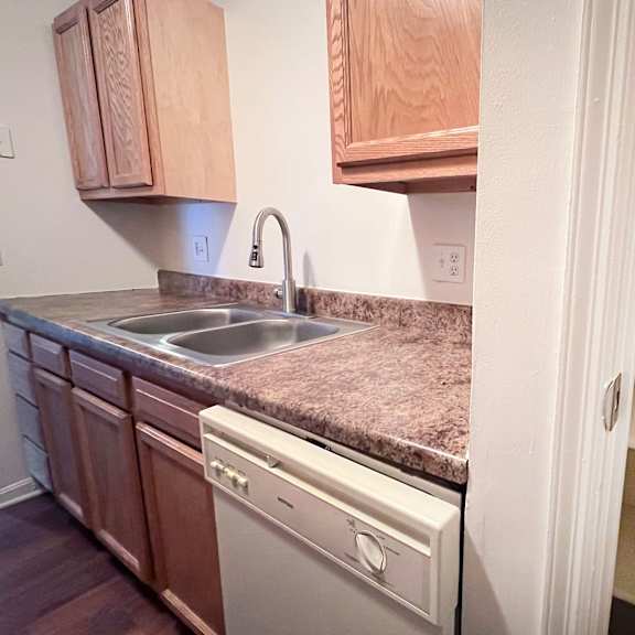a kitchen with a sink and a dishwasher.
